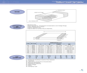 CL21B101JCNC.pdf