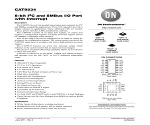 CAT9534WI-GT2.pdf