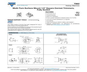 TS63Y104KR10.pdf