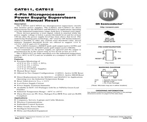 CAT811RTBI-GT3.pdf