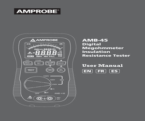 AMB-45.pdf
