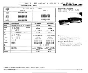 SKN2000/16.pdf