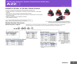 A22W2AAT110.pdf