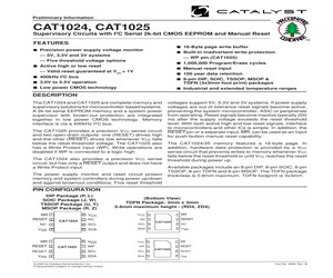 CAT1024JI-28TE13.pdf