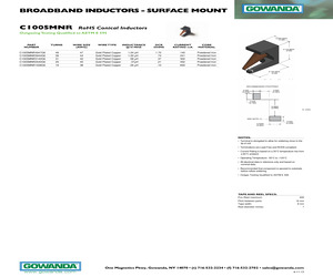 C100SMNR2540G6.pdf