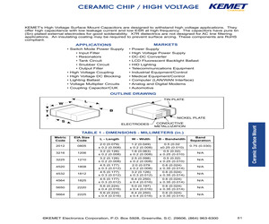 C1210C300KCRAC.pdf