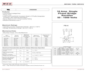 BR102-BP.pdf