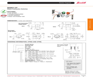 37FBR1-AAP1121N.pdf