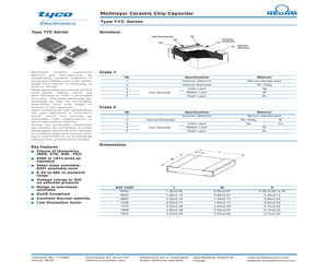 TYC0603A100JFT (1-1676853-7).pdf