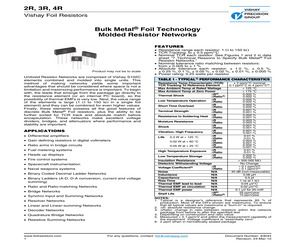 300196.pdf