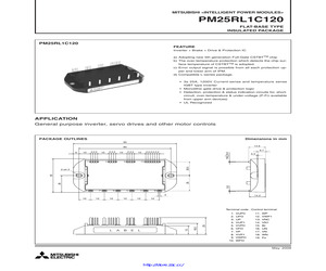 PM25RL1C120.pdf