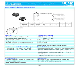 SNR4018E-101M.pdf