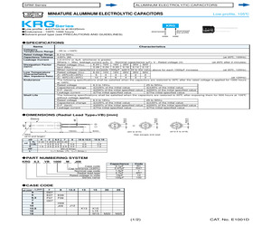 KRG10VB100MF07.pdf