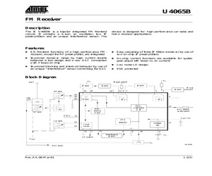 U4065B-MFLG3Y.pdf