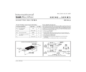 63CNQ100SL.pdf