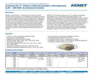 C1206C224K5RALTU.pdf