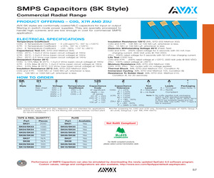 SK011C163KAA.pdf