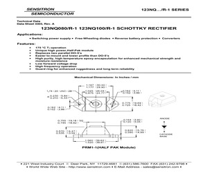 123NQ100R-1-G.pdf