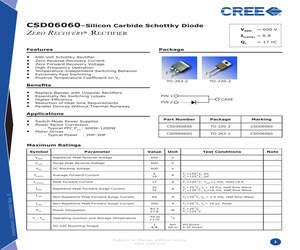 CSD06060A.pdf