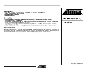 U4065B-AFLY.pdf