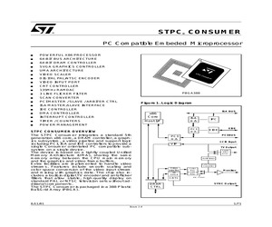 CONSUMER.pdf