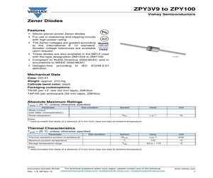 ZPY100-TR/5K.pdf