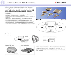 CAF12CG100J50AL.pdf