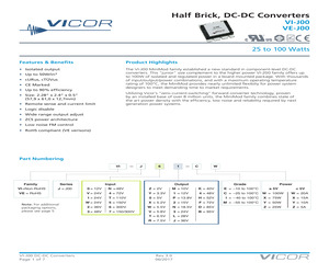 VI-J51-CY-F1.pdf