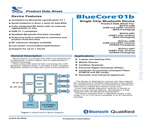 BLUECORE 01B.pdf