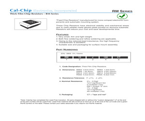 RM02F3830CT.pdf