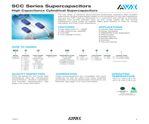 SCCT20B106SRB.pdf