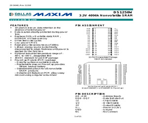 DS1250W-100+.pdf