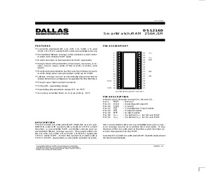 DS1216D.pdf
