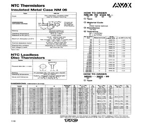 NM06F00100K--.pdf