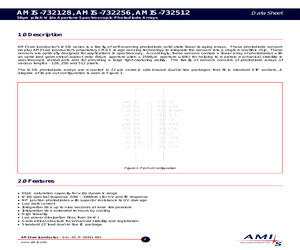 AMIS-732512.pdf