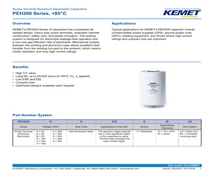 PEH200YT415AMB2.pdf