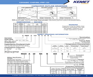 M123A10BPC750FS.pdf