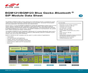 BGM121N256V2.pdf