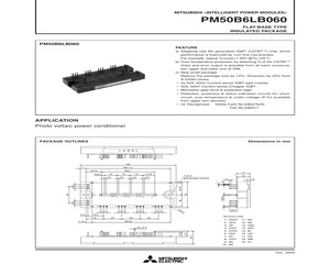 PM50B6LB060.pdf