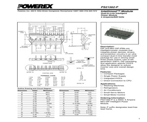 PS21562-P.pdf