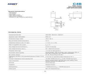 C4BSMBX4100ZAFJ.pdf