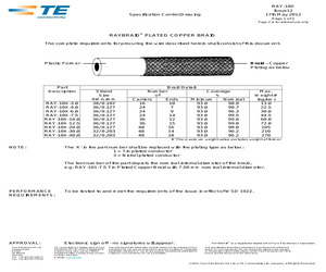 RAY-101-6.0(100).pdf