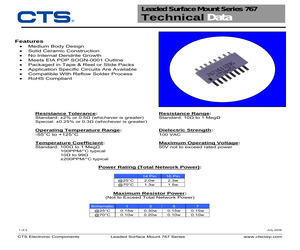 767161510FPTR13.pdf