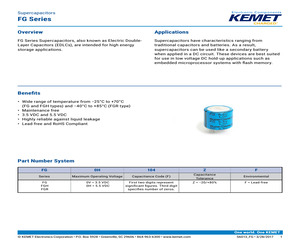 FG0H104ZF.pdf