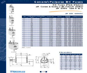 NH0AM69V125P-2.pdf