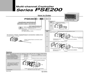 PSE201.pdf