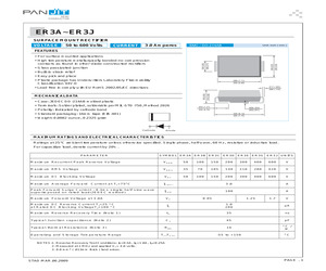 ER3GT/R13.pdf