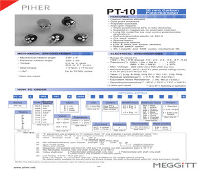 PT10MV10105A2020IPM.pdf