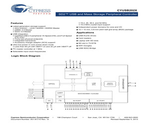 CYUSB2025-BZXI.pdf