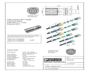 ST-17S1N8A8001.pdf